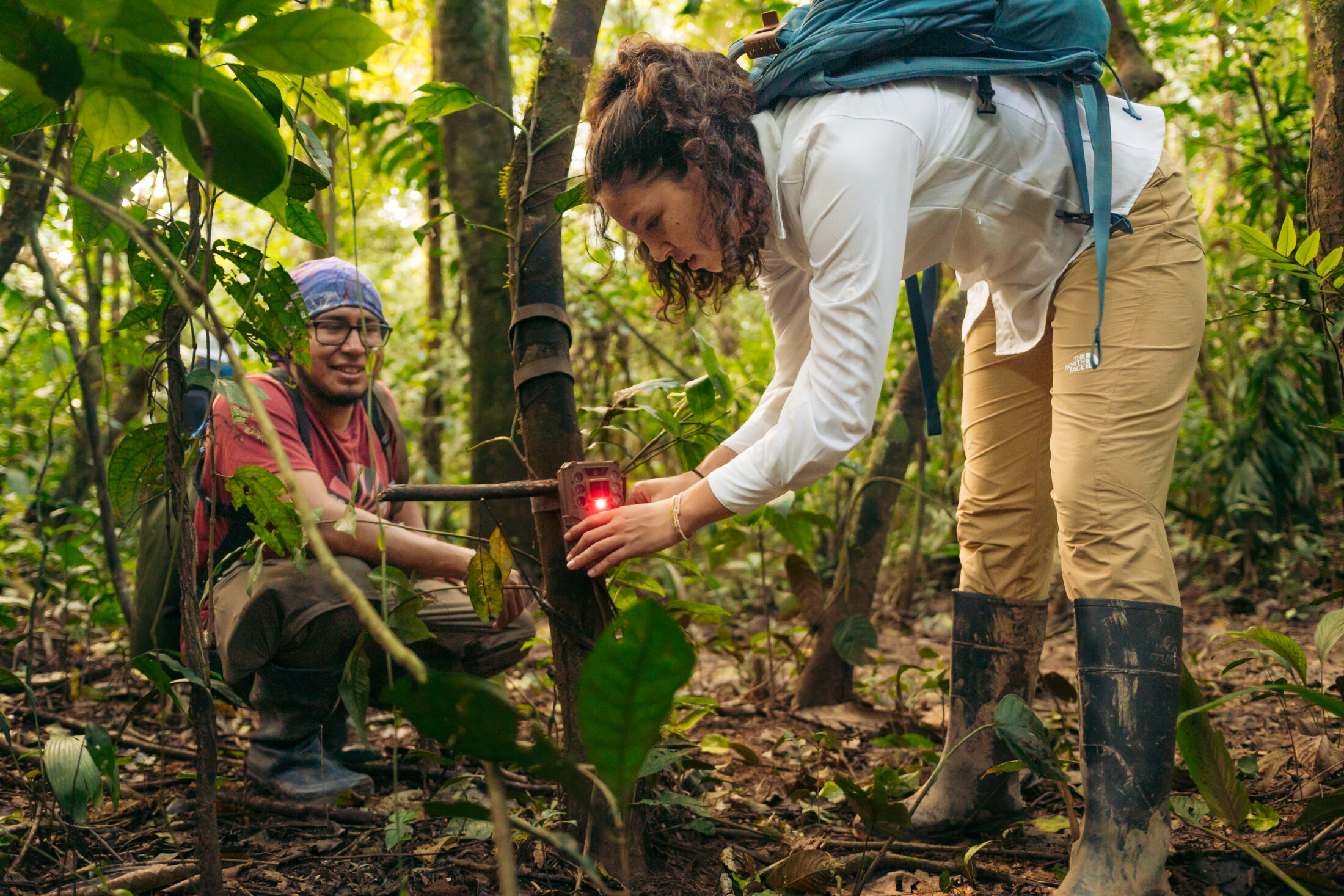 Wired Amazon is an innovative initiative by Rainforest Expeditions, designed to advance scientific research and conservation in Peru’s Tambopata National Reserve and Bahuaja Sonene National Park through a unique blend of ecotourism and citizen science.